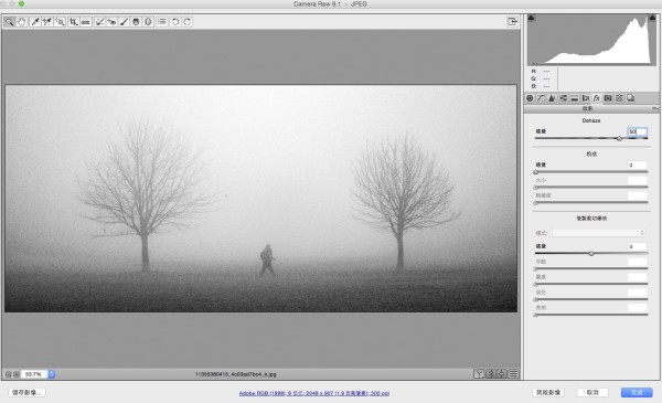 Adobe Photoshop CC Dehaze